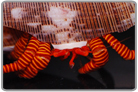 Halloween Hermit Crab